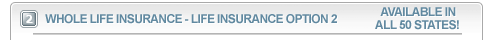 Whole life insurance.